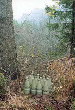 Versteinerte Flaschen